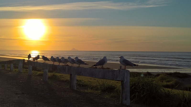 WP_20160823_17_15_03_Rich_LI