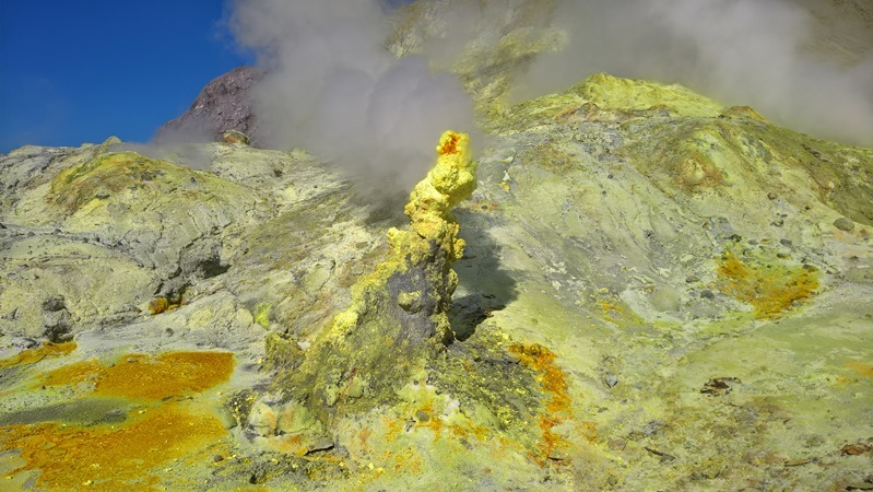 WP_20160823_11_38_58_Rich_LI