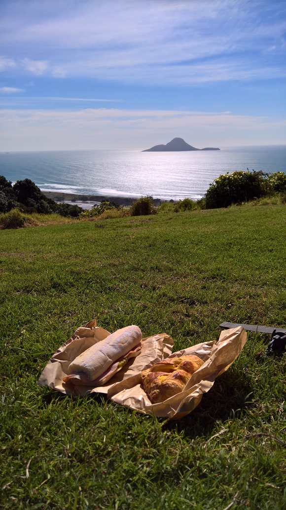 WP_20160823_13_02_55_Rich_LI