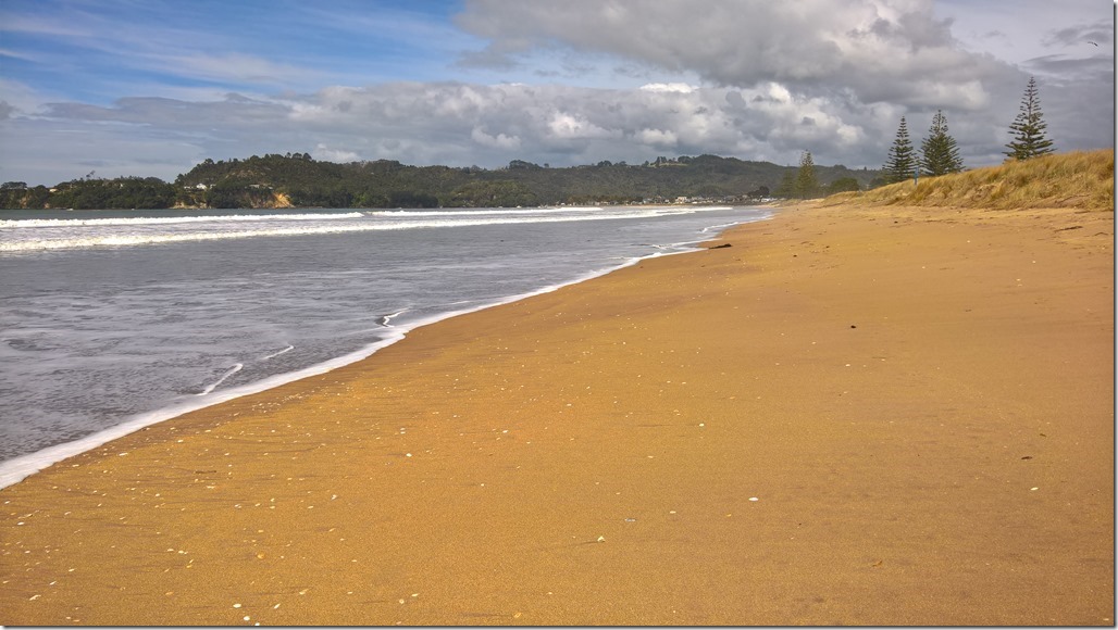 WP_20160822_12_33_11_Rich_LI