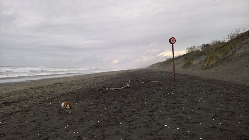 WP_20160612_15_16_29_Pro