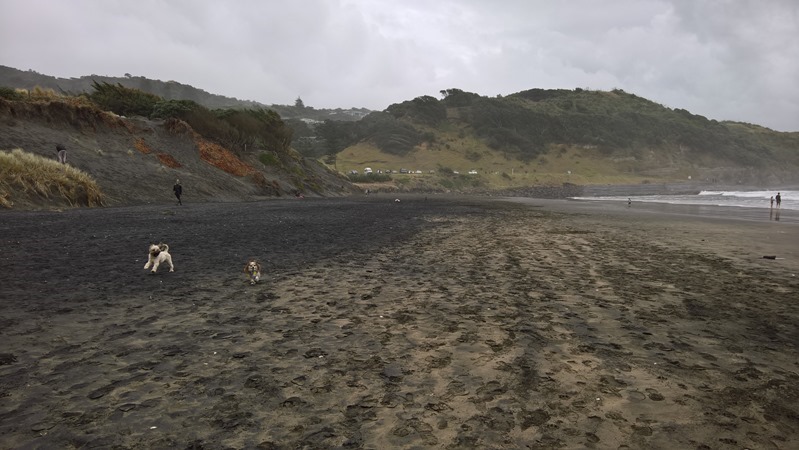 WP_20160612_14_55_41_Rich