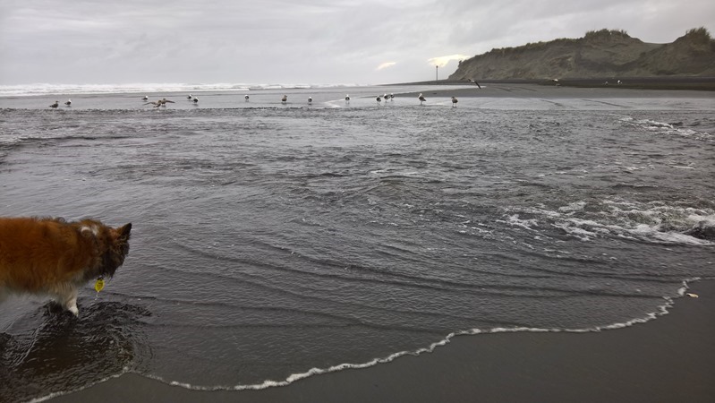 WP_20160612_15_36_41_Rich