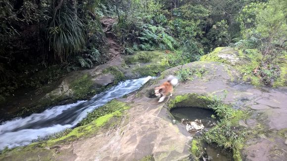 WP_20150912_15_59_12_Rich.jpg