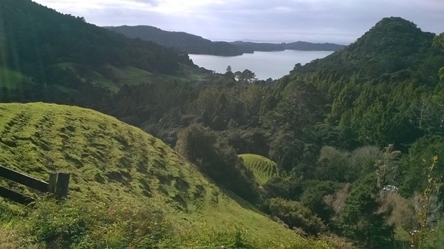 WP_20140810_10_39_47_Pro