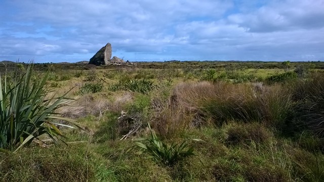 WP_20140810_11_19_34_Pro