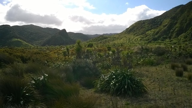 WP_20140810_11_19_49_Pro