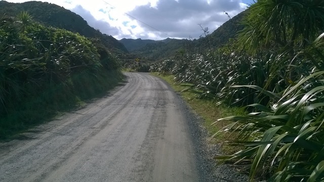 WP_20140810_11_48_46_Pro