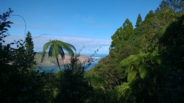 WP_20140810_12_10_55_Pro