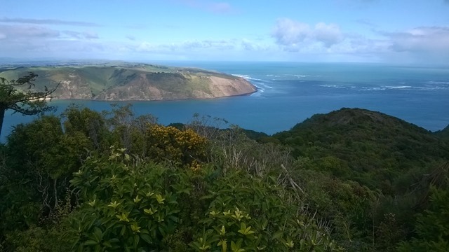 WP_20140810_12_39_31_Pro