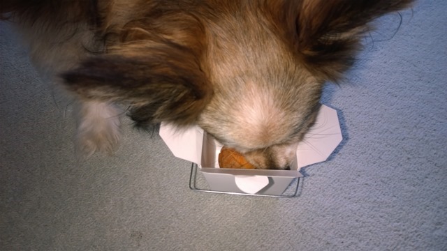 WP_20140706_15_38_24_Pro