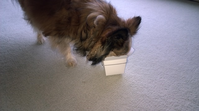 WP_20140706_15_38_29_Pro