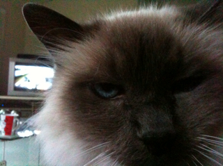 Hard to see Formula One