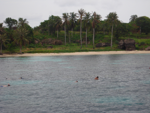 Nhan Nguyen (124) Nhan Nguyen (124)