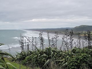 North from Muriwai