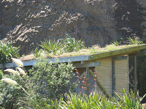 Green Roof Toilet Muriwai