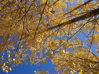 Autumn is here