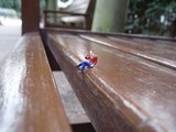 Tinybenchperson