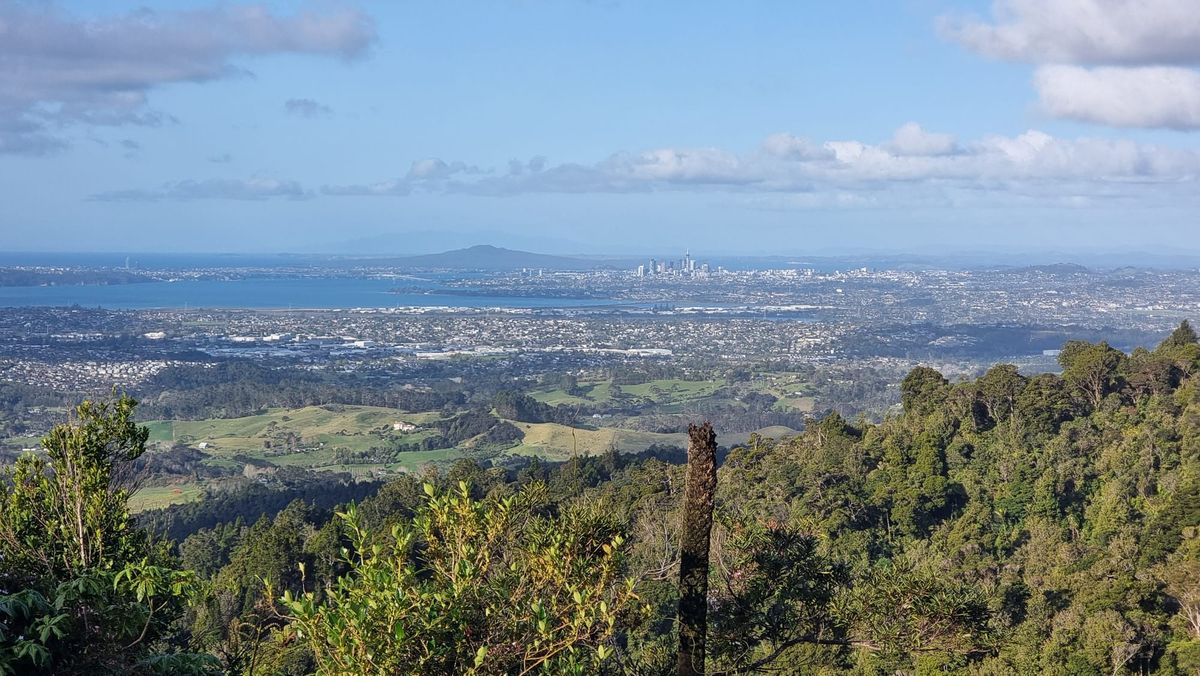 View of West Auckland from the Waitakere Ranges, bush in foreground, city and harbour beyond