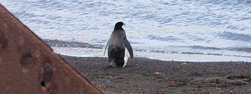 Antarctic Aerodrome no Deception | Antarctic Mission Log 10