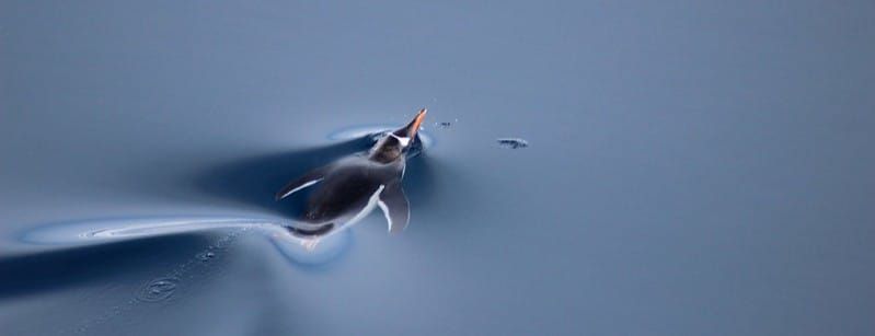 Finding Lockie | Antarctic Mission Log 07