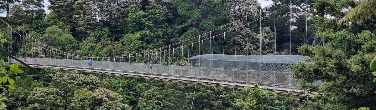 Waikato River Trail | Karāpiro to Arapuni & Jones Landing | Time Out 2021-22 Waikato