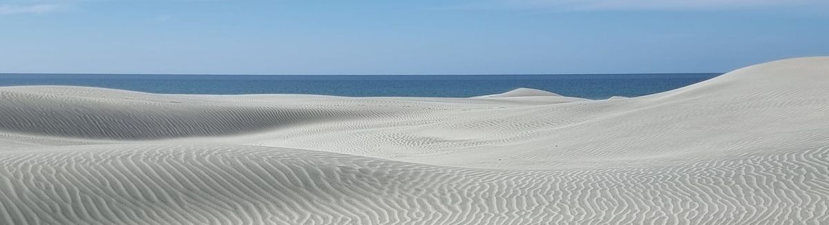 Hello Farewell Spit | Time Out 2021-22 Golden Bay Bus