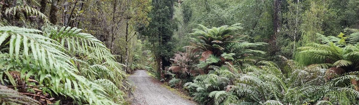 West Coast Wilderness 02 | Hokitika Gorge & Cycle Dorothy Falls to Hokitika | Time Out 2021-22 West Coast