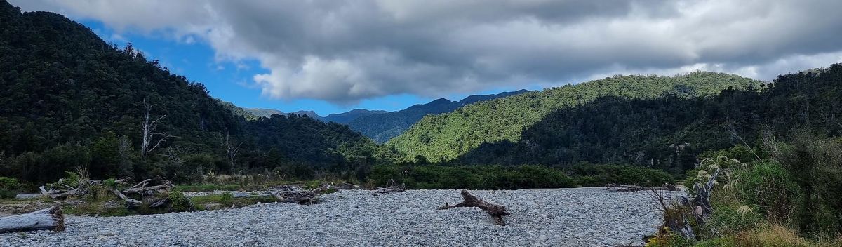 Punakaiki & Bullock Creek Road | Time Out 2021-22 West Coast