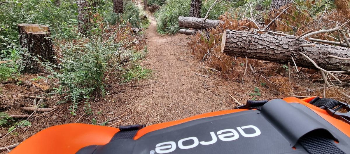 Hanmer Springs Forest Trails | Time Out 2021-22 Hanmer Springs