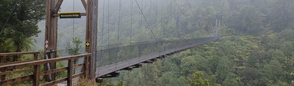 Timber Trail Day Two | Time Out 2021-22 Pureora Forest