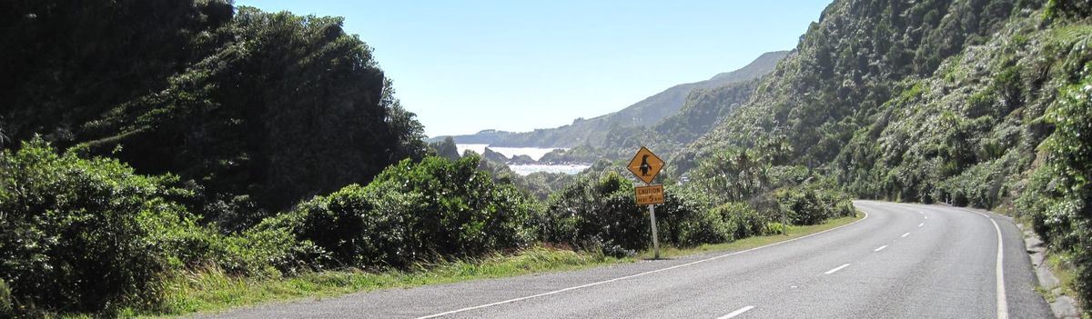 Coast to Coast 3 - Punakaiki to Westport