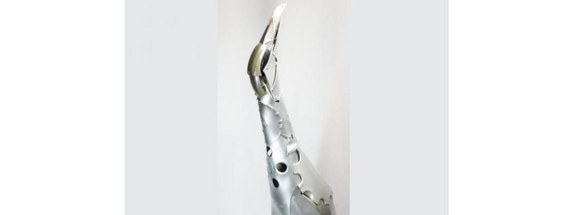 Ptolemy's Hubcap Penguin