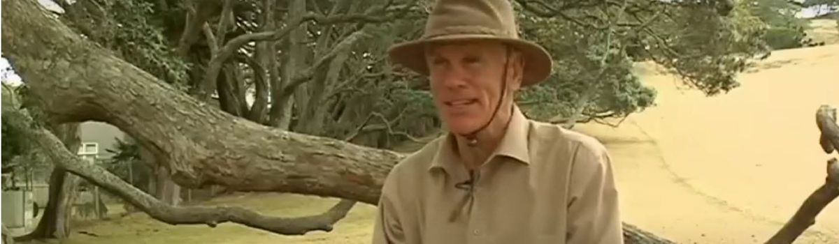 Hillary Trail video showcases the beautiful Waitakere Ranges