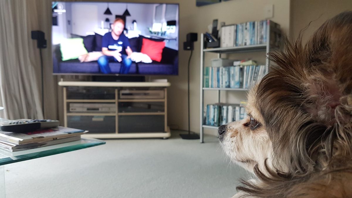 Dead Sky and a clicking amp, cable day!