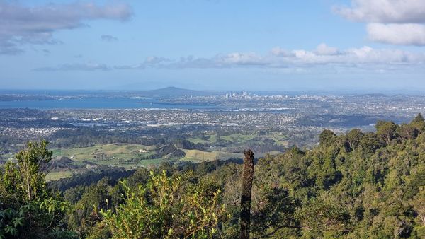 View of West Auckland from the Waitakere Ranges, bush in foreground, city and harbour beyond