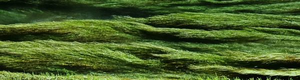 Putaruru Blue Springs & Hauraki Rail Trail | Paeroa to Wāihi | Time Out 2021-22 Waikato