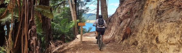 Whakarewarewa Forest Loop & Te Ara Ahi Trail | Time Out 2021-22 Rotorua