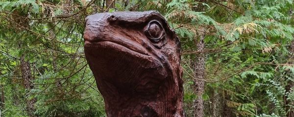 Hanmer Springs Walks | Time Out 2021-22 Hanmer Springs