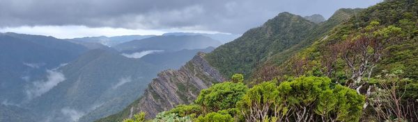 Bush, shear rock faces, ghostly cloud lingering over bush clad mountains