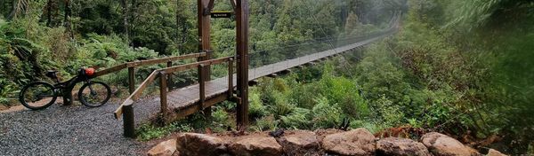 Timber Trail Day One | Time Out 2021-22 Pureora Forest