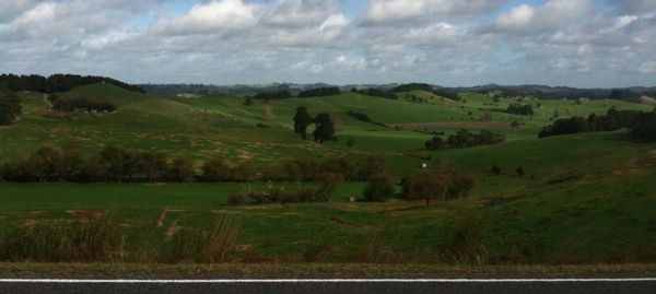 Last ride to Whangarei, huh? ~ Northland Sojourn 2012 Day 10