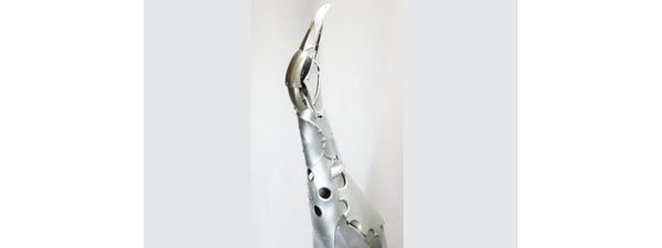 Ptolemy's Hubcap Penguin