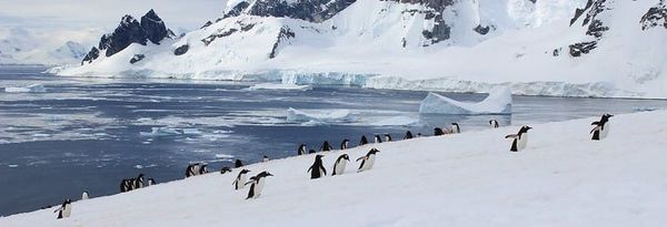 Matt takes me back to Antarctica