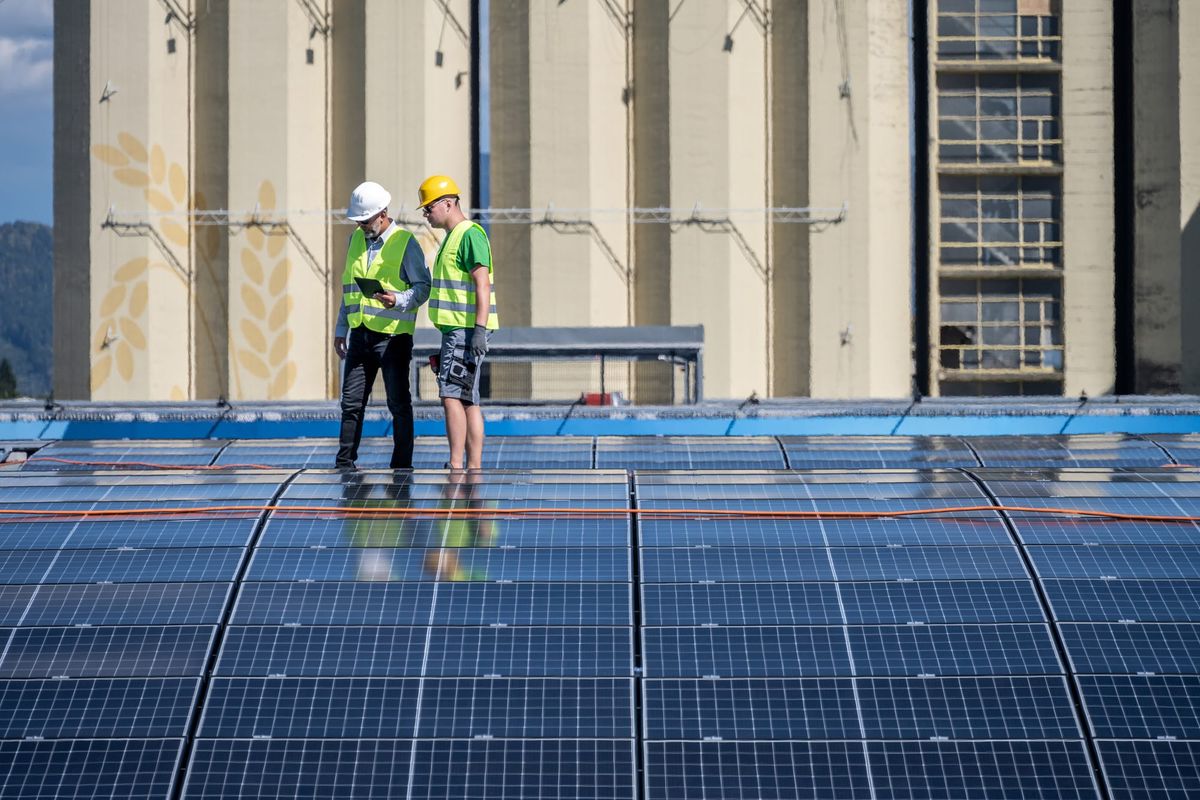 🌎 Green Skills #15