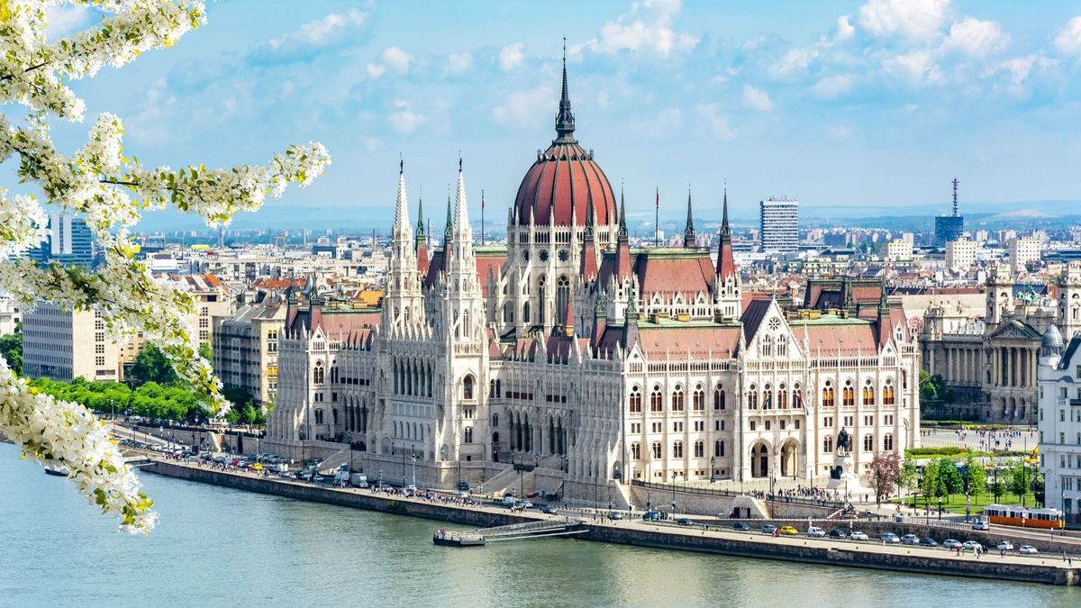 Why are Hungary’s universities betting on openness when global confidence feels fragile?
