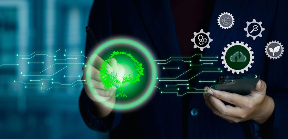 🌎 Green Skills #12