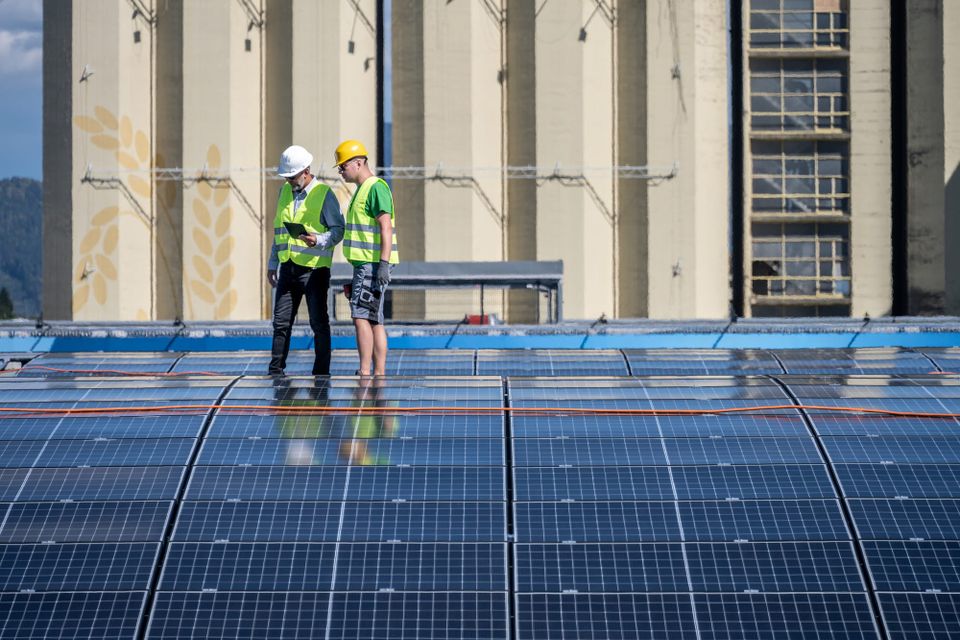 🌎 Green Skills #15