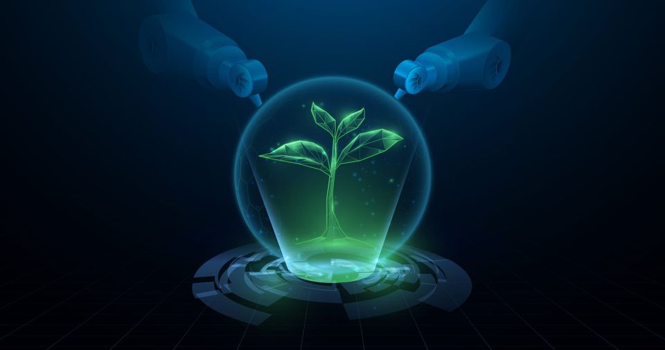 🌎 Green Skills #20