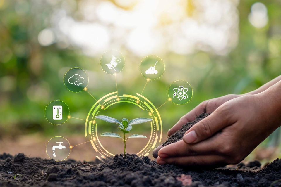 🌎 Green Skills #23